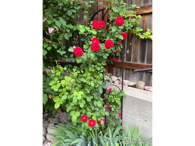 204 Linden St, Frederick, CO 80530