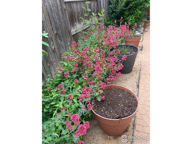 204 Linden St, Frederick, CO 80530