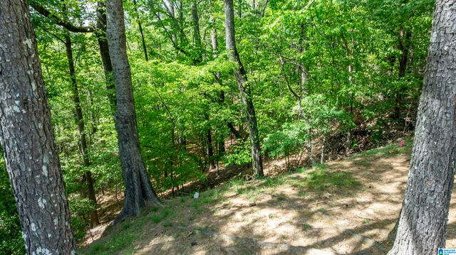 4754 SANDPIPER LANE, Hoover, AL 35244