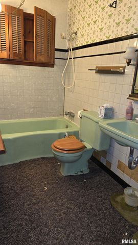 1028 COYNE CENTER Road, Milan, IL 61264