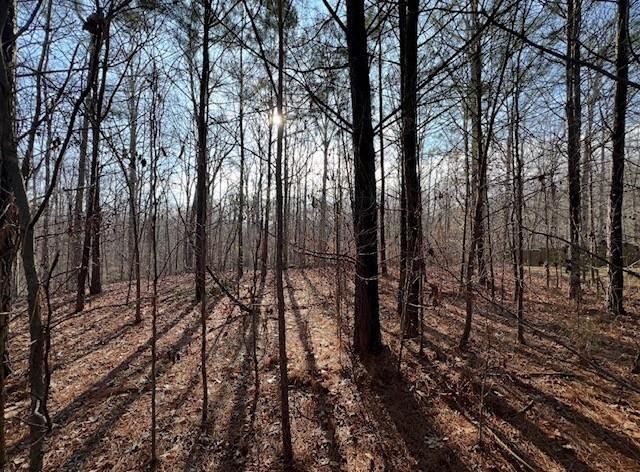 5255 Red Hawk Drive, Gainesville, GA 30507