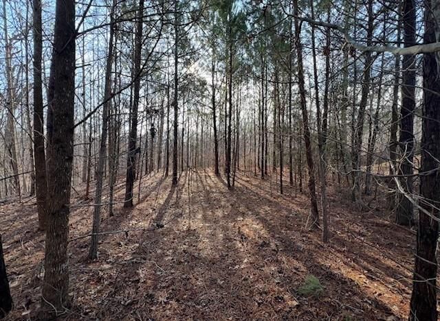 5255 Red Hawk Drive, Gainesville, GA 30507