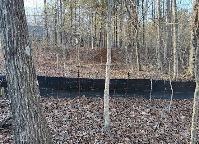 5255 Red Hawk Drive, Gainesville, GA 30507