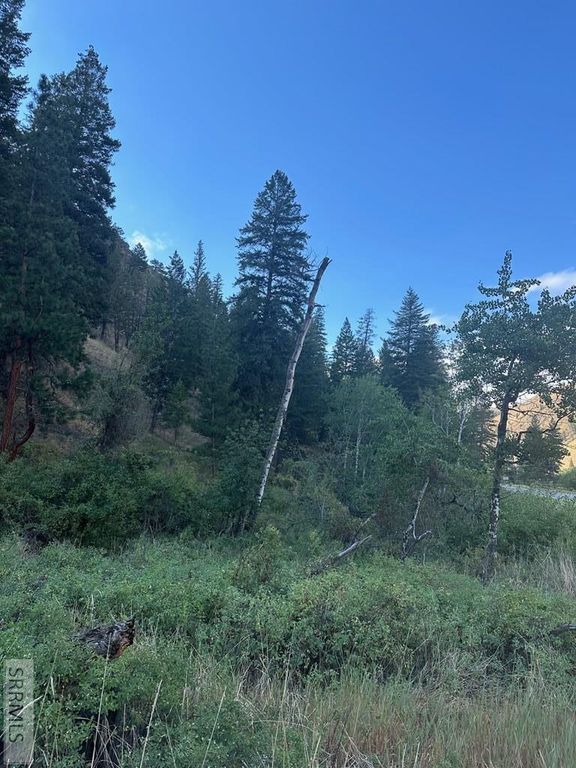 Image 1 of property listing at TBD N Hwy 93, North Fork, ID 83466