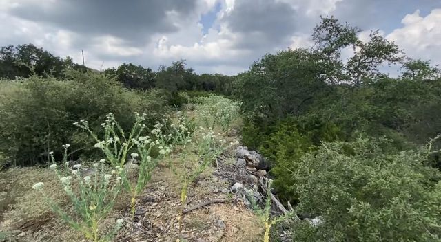 1173 Hilltop RDG, New Braunfels, TX 78132