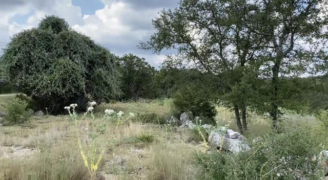 1173 Hilltop RDG, New Braunfels, TX 78132