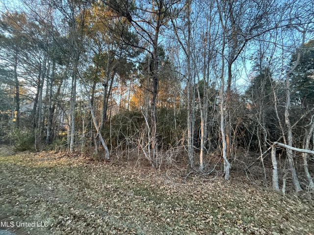 Lots 9-11 Pecan Ridge Drive, Waveland, MS 39576