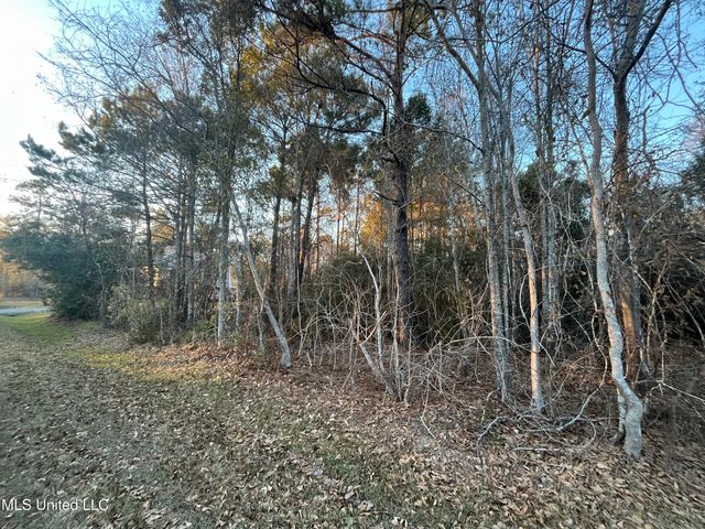 Lots 9-11 Pecan Ridge Drive, Waveland, MS 39576