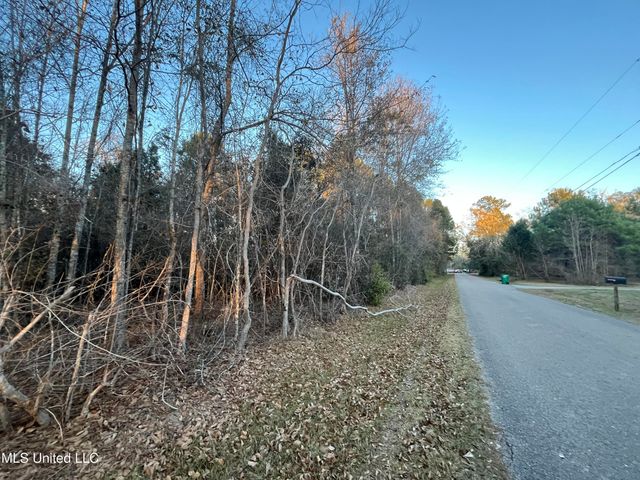 Lots 9-11 Pecan Ridge Drive, Waveland, MS 39576