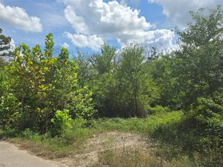 TBD Short Street, Splendora, TX 77372