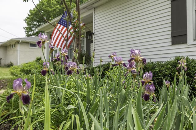 315 Battle Ave, Franklin, TN 37064