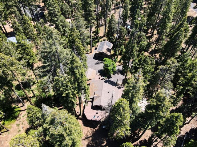 39145 Checkerbloom Lane, Shaver Lake, CA 93664