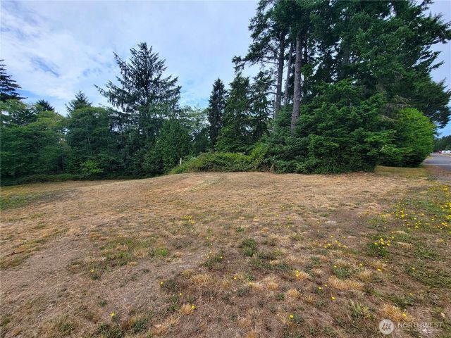 24313 Gile Place, Ocean Park, WA 98640