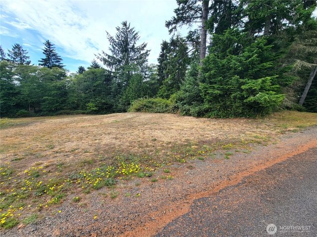 24313 Gile Place, Ocean Park, WA 98640