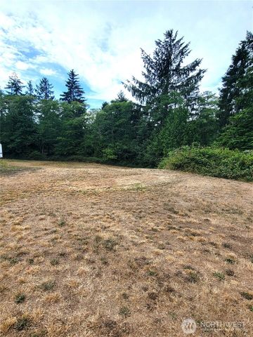 24313 Gile Place, Ocean Park, WA 98640