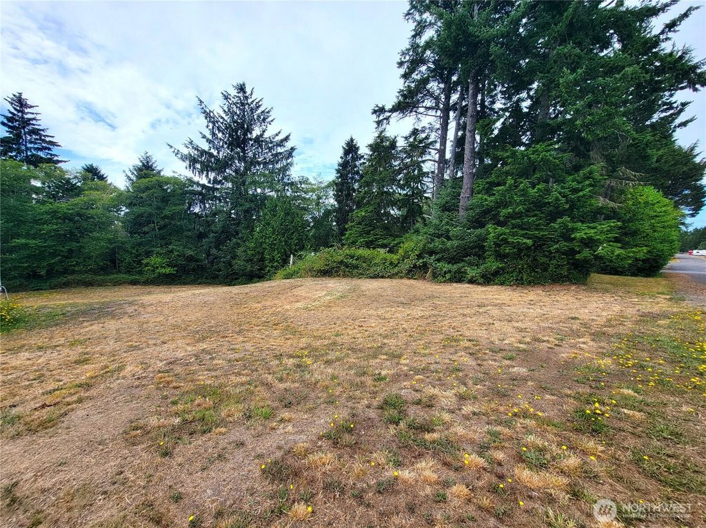 24313 Gile Place, Ocean Park, WA 98640