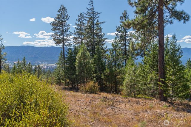 0 Forest Ridge Drive, Cle Elum, WA 98922