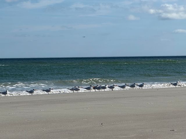 655 E Bianca Circle, St Augustine, FL 32086