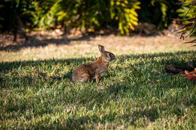 2490 NW Lakeridge Drive, Palm City, FL 34990