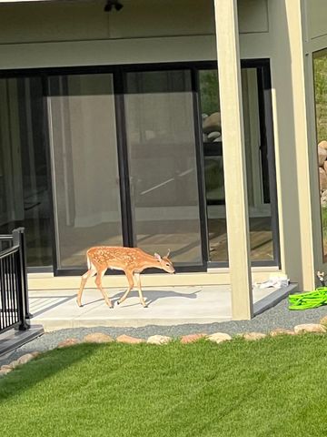 4729 Linden Cove Lane, Savage, MN 55378