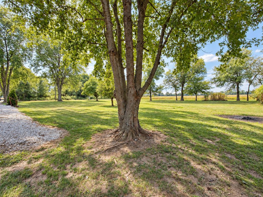 Image 68 of property listing at 8015 Brubaker Road, Iuka, IL 62849