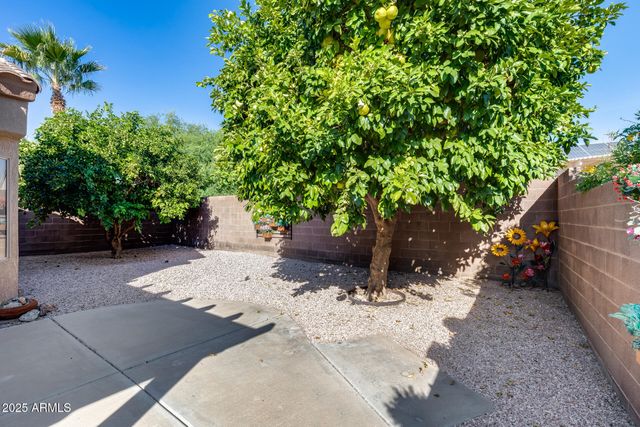 16178 W MONTOYA Drive, Surprise, AZ 85374
