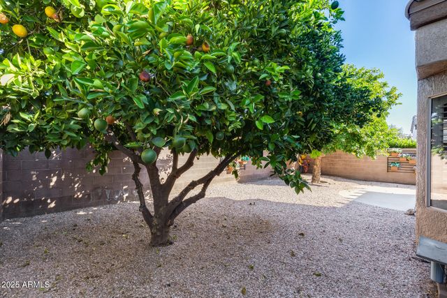 16178 W MONTOYA Drive, Surprise, AZ 85374