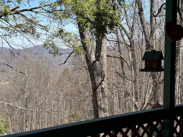 74 Hemlock Lane, Topton, NC 28781