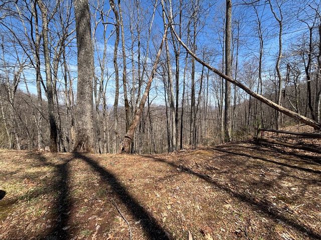 74 Hemlock Lane, Topton, NC 28781