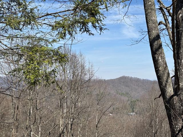 74 Hemlock Lane, Topton, NC 28781
