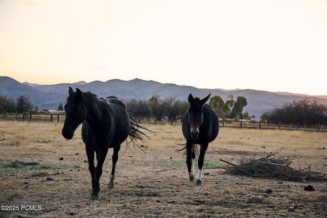 470 E Boulderville Road, Oakley, UT 84055