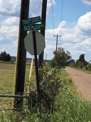 Situs TBD Old Plum Highway, La Grange, TX 78945