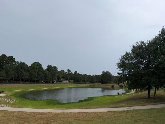 23737 Birch Grove Rd, Montgomery, TX 77316
