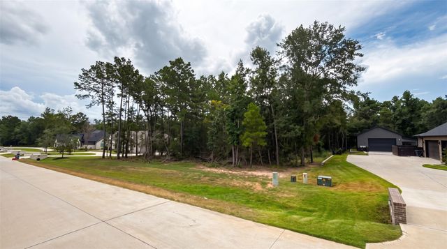 23737 Birch Grove Rd, Montgomery, TX 77316