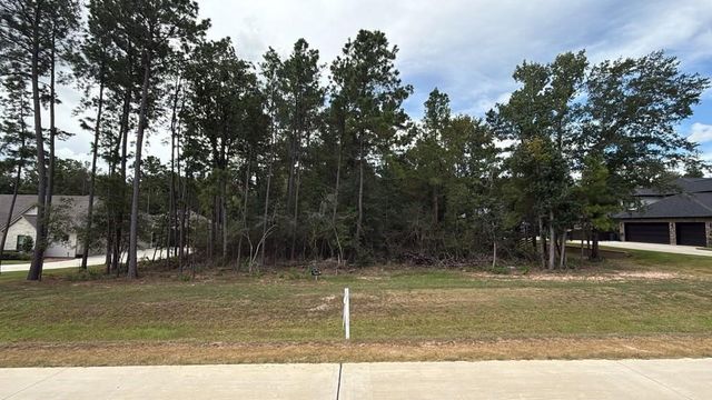 23737 Birch Grove Rd, Montgomery, TX 77316