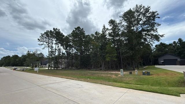 23737 Birch Grove Rd, Montgomery, TX 77316
