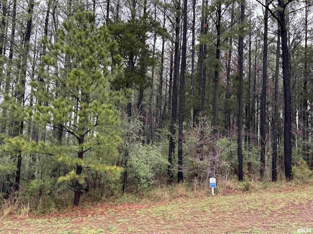 LOT 122&123 DEER Lane, Goreville, IL 62939