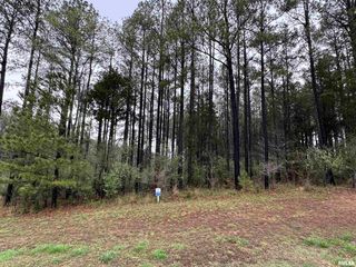 LOT 122&123 DEER Lane, Goreville, IL 62939