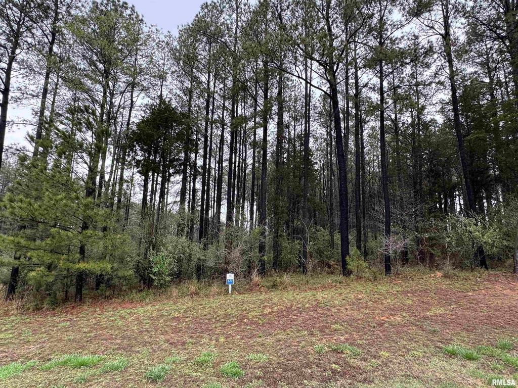 LOT 122&123 DEER Lane, Goreville, IL 62939