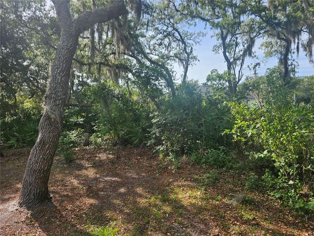 259 TOMS ROAD, Debary, FL 32713