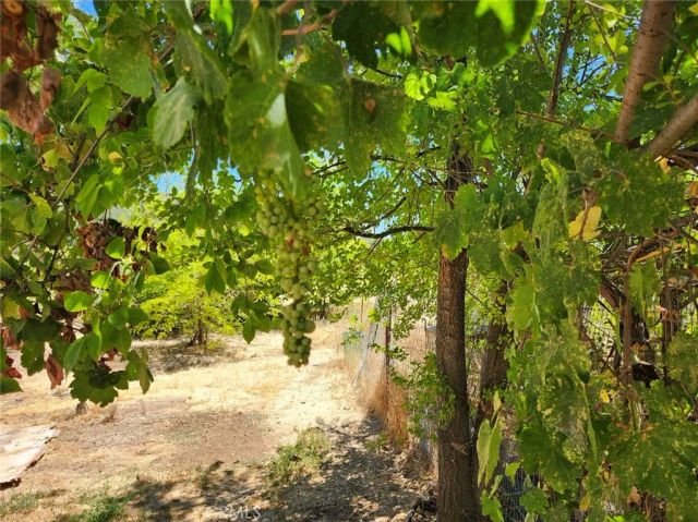 3950 Emile Avenue, Clearlake, CA 95422