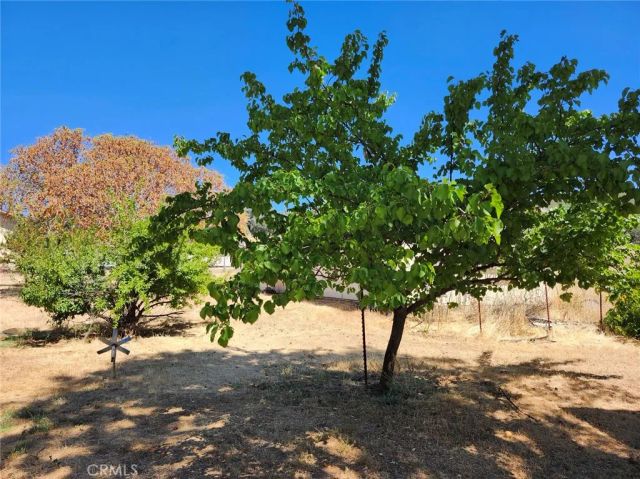 3950 Emile Avenue, Clearlake, CA 95422