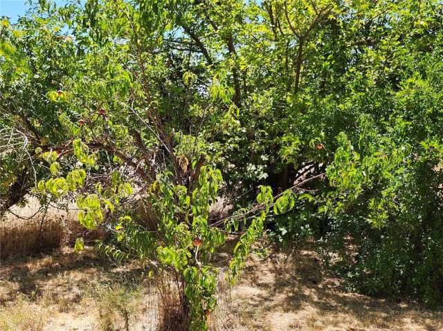 3950 Emile Avenue, Clearlake, CA 95422