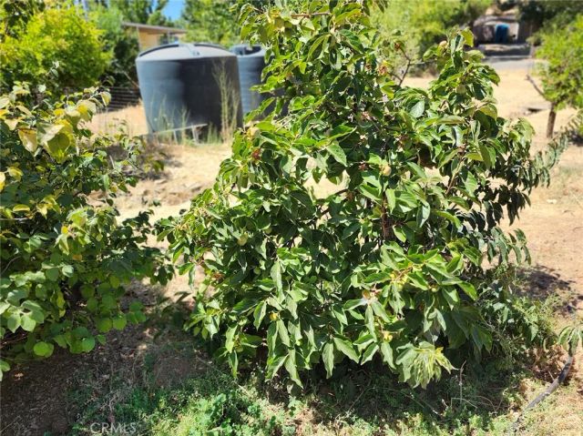 3950 Emile Avenue, Clearlake, CA 95422