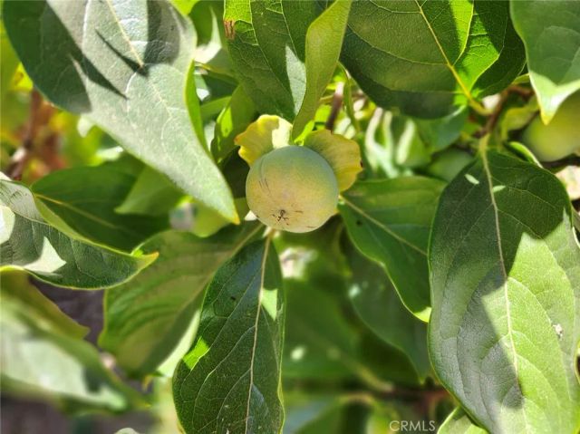 3950 Emile Avenue, Clearlake, CA 95422