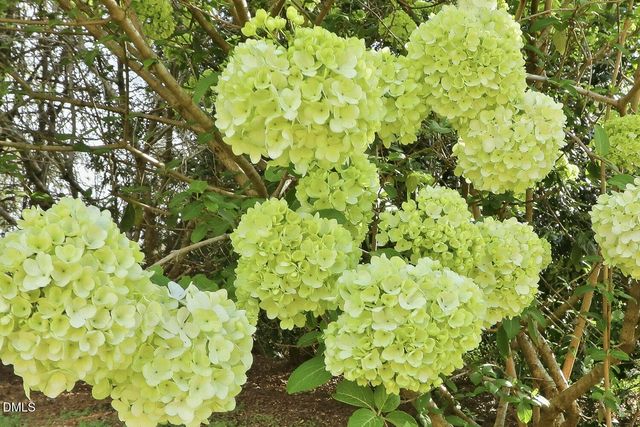 2808 Doves Nest Court, Fuquay Varina, NC 27526