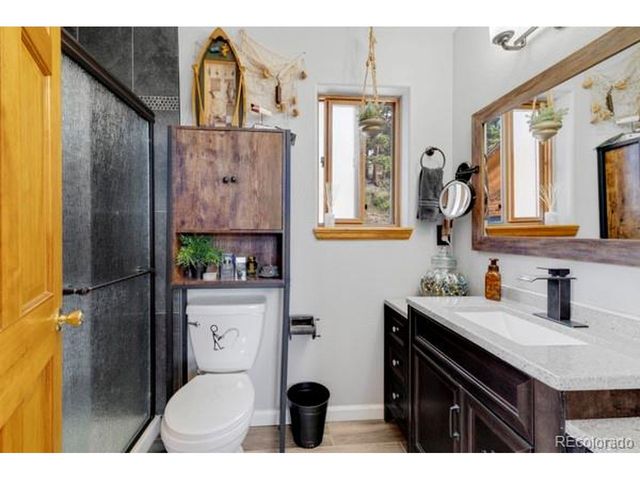 182 Spruce Trl, Bailey, CO 80421