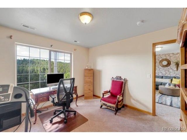 182 Spruce Trl, Bailey, CO 80421