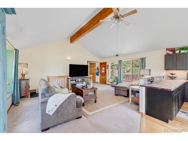 182 Spruce Trl, Bailey, CO 80421
