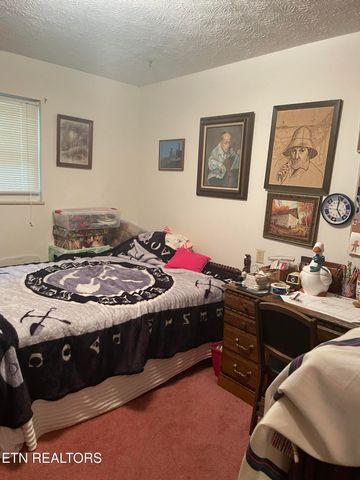 287 Lone Mountain Rd, Tazewell, TN 37879